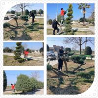 ادامه مطلب...